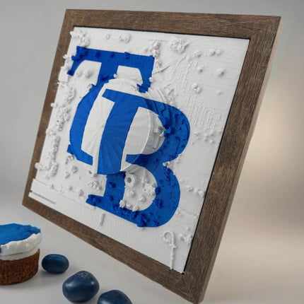Tampa Bay Rays Tropicana Field Topographical Map Art Framed Wall Decor Embossed Logo Baseball Stadium Gift