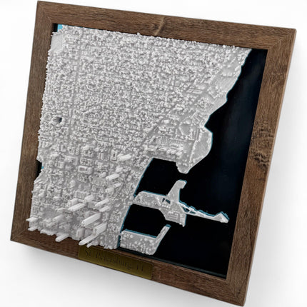 St. Petersburg, Florida Map Art Framed Wall Decor Topographical Map