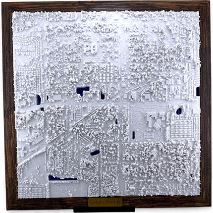 Largo, Florida Map Art Framed Wall Decor Topographical Map