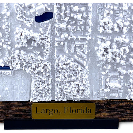 Largo, Florida Map Art Framed Wall Decor Topographical Map