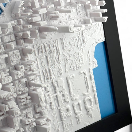 Chicago, Illinois Map Art Framed Wall Decor Topographical Map