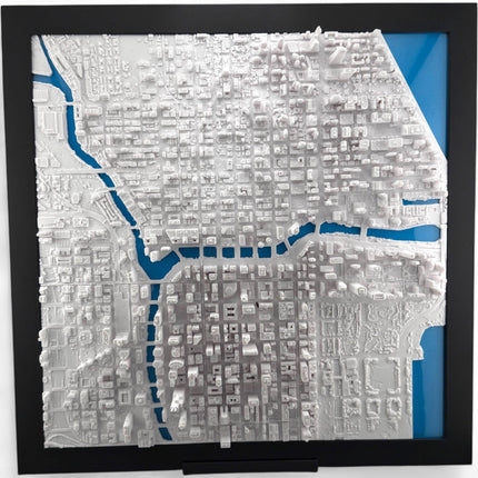 Chicago, Illinois Map Art Framed Wall Decor Topographical Map