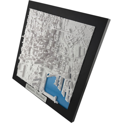 Baltimore, MD Map Art Framed Wall Decor Topographical Map