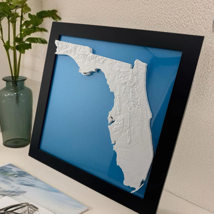 Florida Topographical Map Art Framed Wall Decor, Geographic Map Poster, Coastal Home Gift, Nautical Cartography Print, Beach House Wall Art