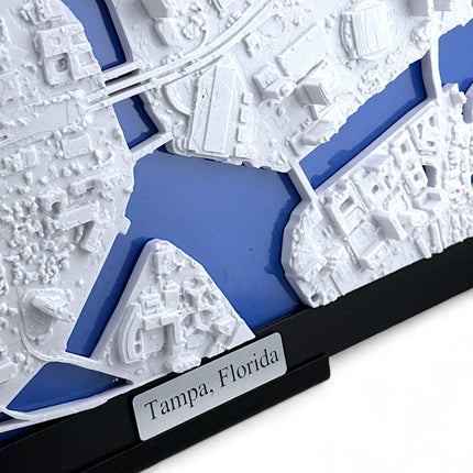 Tampa FL Map Art Framed Wall Decor Topographical Map Coastal City Landscape Gift for Home & Office