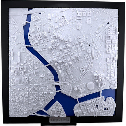 Tampa FL Map Art Framed Wall Decor Topographical Map Coastal City Landscape Gift for Home & Office