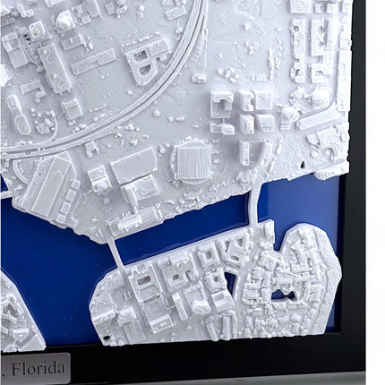 Tampa FL Map Art Framed Wall Decor Topographical Map Coastal City Landscape Gift for Home & Office