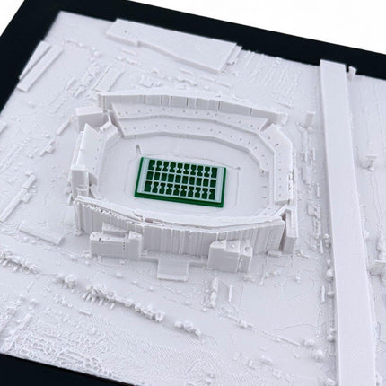 Philadelphia Eagles - Lincoln Financial Field 3D Topographic Map Art