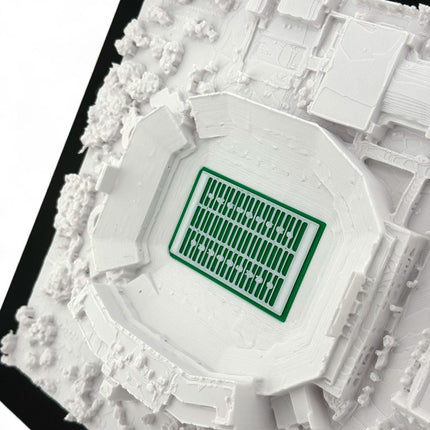 Florida Gators - Ben Griffin Stadium 3D Topographic Map Art