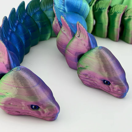 Moray Eels