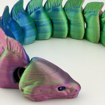 Moray Eels
