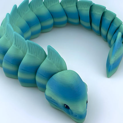 Moray Eels