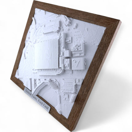 Detroit Lions, AT&T Stadium Map Art Framed Wall Decor Topographical Map
