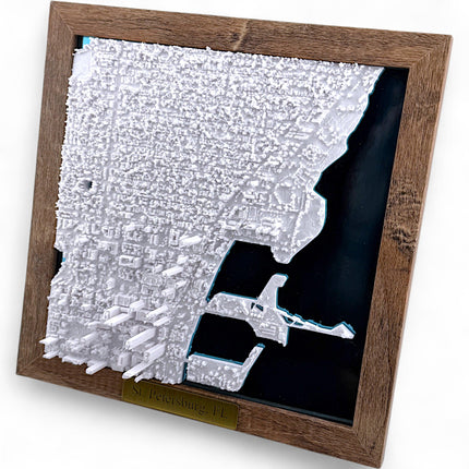 St. Petersburg, Florida Map Art Framed Wall Decor Topographical Map