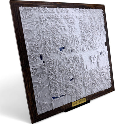 Largo, Florida Map Art Framed Wall Decor Topographical Map