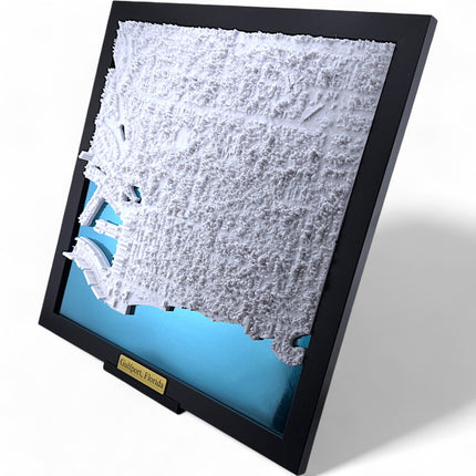 Gulfport, FL Map Art Framed Wall Decor Topographical Map