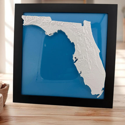 Florida Topographical Map Art Framed Wall Decor, Geographic Map Poster, Coastal Home Gift, Nautical Cartography Print, Beach House Wall Art