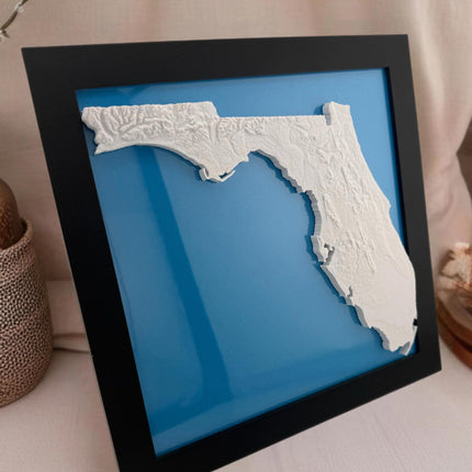 Florida Topographical Map Art Framed Wall Decor, Geographic Map Poster, Coastal Home Gift, Nautical Cartography Print, Beach House Wall Art