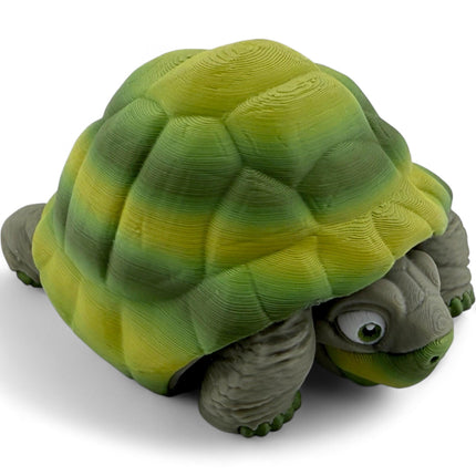 3D Printed Tortoise