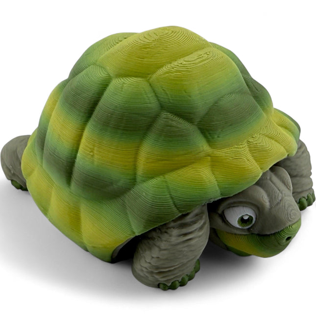3D Printed Tortoise
