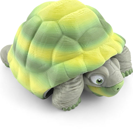3D Printed Tortoise