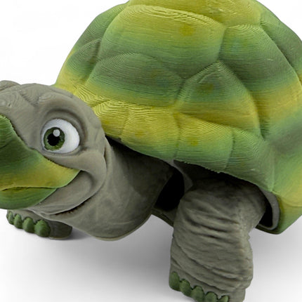 3D Printed Tortoise