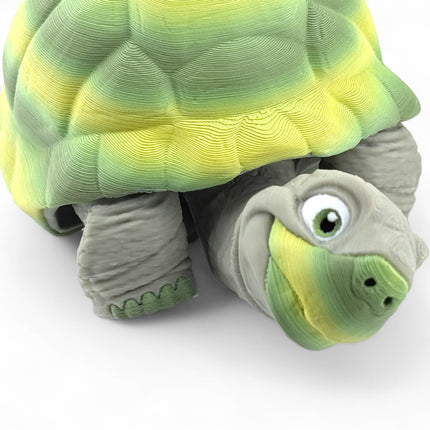 3D Printed Tortoise