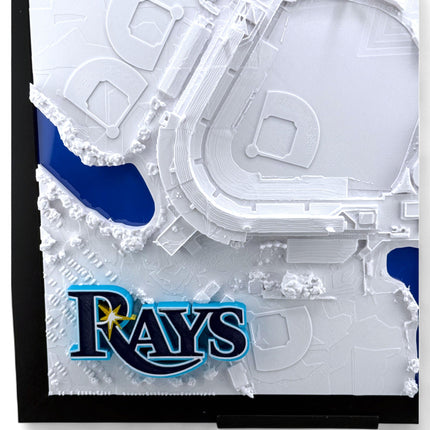 Tampa Bay Rays - Framed Topographical Map Art of Steinbrenner Field with logo