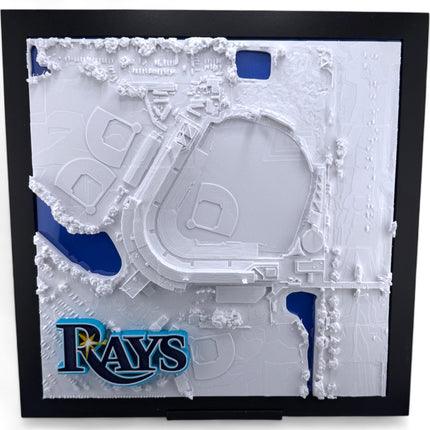 Tampa Bay Rays - Framed Topographical Map Art of Steinbrenner Field with logo