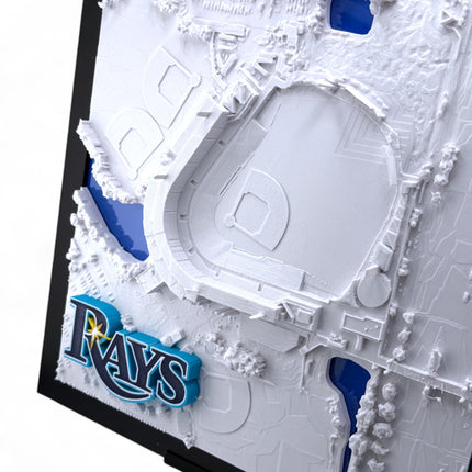 Tampa Bay Rays - Framed Topographical Map Art of Steinbrenner Field with logo