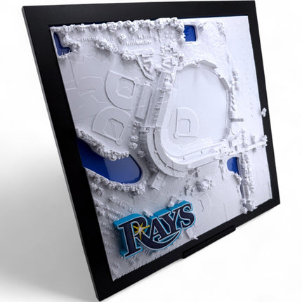 Tampa Bay Rays - Framed Topographical Map Art of Steinbrenner Field with logo