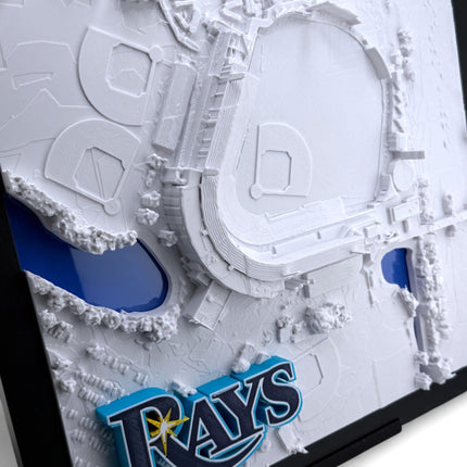 Tampa Bay Rays - Framed Topographical Map Art of Steinbrenner Field with logo