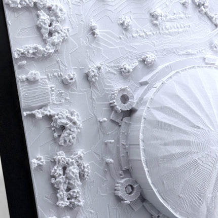 Tampa Bay Rays - Framed Topographical Map Art of Tropicana Field with logo