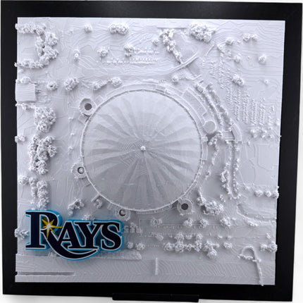 Tampa Bay Rays - Framed Topographical Map Art of Tropicana Field with logo