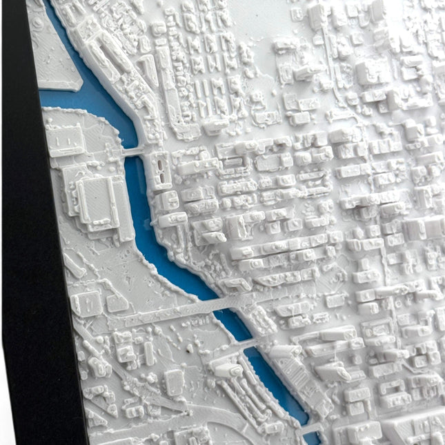 Chicago, Illinois Map Art Framed Wall Decor Topographical Map