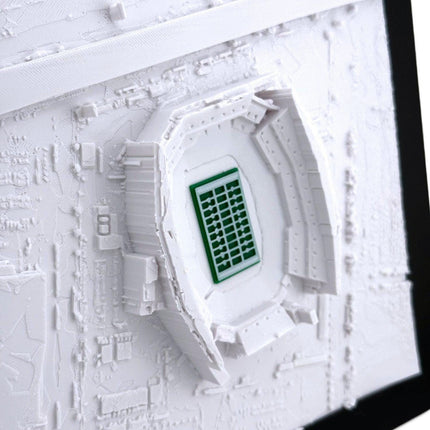 Philadelphia Eagles - Lincoln Financial Field 3D Topographic Map Art