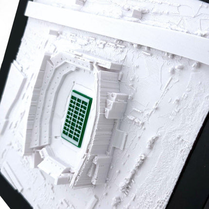 Philadelphia Eagles - Lincoln Financial Field 3D Topographic Map Art