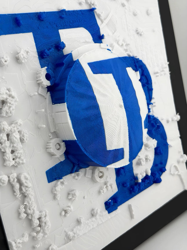 Tampa Bay Rays Tropicana Field Topographical Map Art Framed Wall Decor Embossed Logo Baseball Stadium Gift