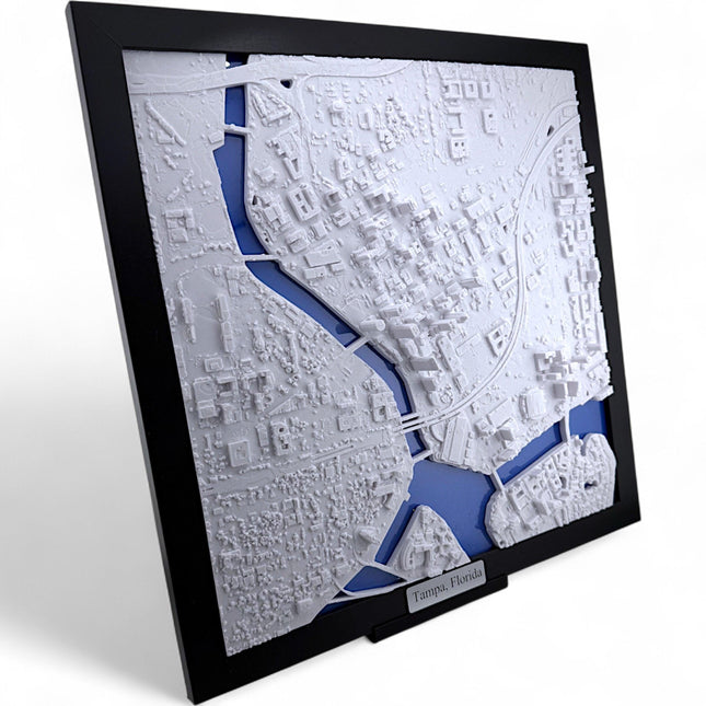 Tampa FL Map Art: Topographical Coastal City Framed Wall Decor topographical map wall art