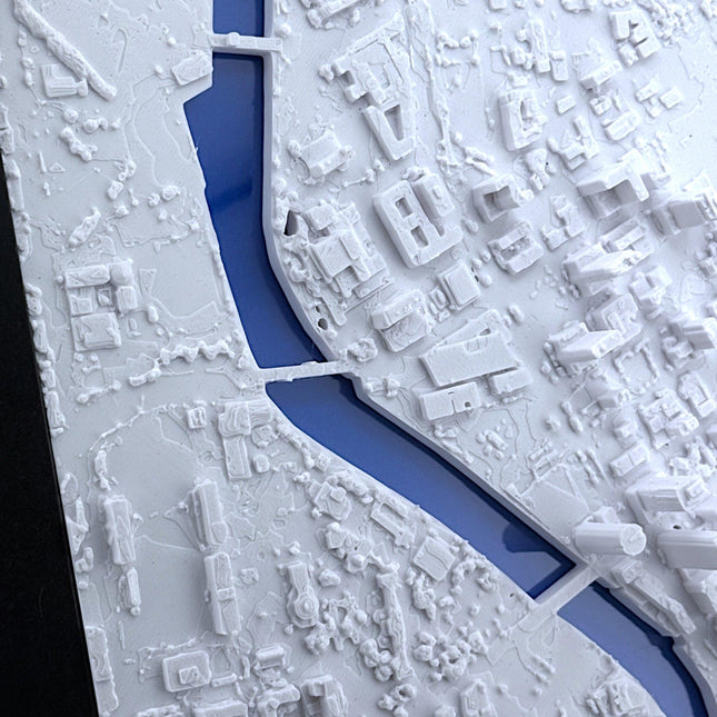 Tampa FL Map Art Framed Wall Decor Topographical Map Coastal City Landscape Gift for Home & Office