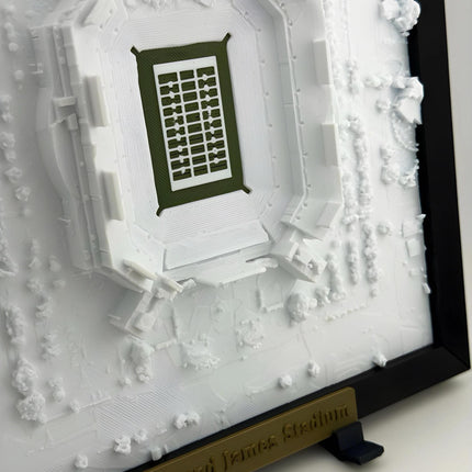 Raymond James Stadium Topographical Map Art - Tampa Bay Buccaneers Framed Wall Decor, Football Stadium Gift, Sports Fan Room Decoration