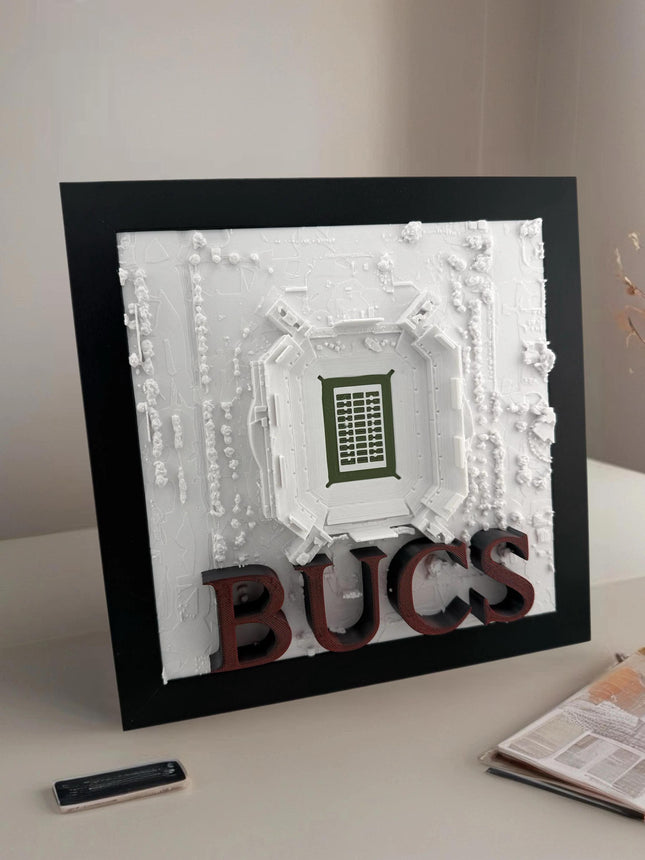 Raymond James Stadium Tampa Bay Buccaneers NFL Decor map wall art