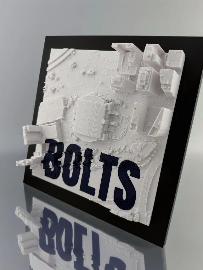 Tampa Bay Lightning Amalie Arena Topographical Map Sports Memorabilia Framed Wall Decor Hockey Fan Gift