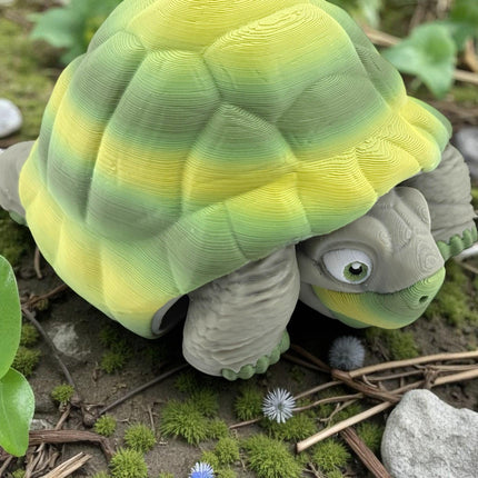 3D Printed Tortoise