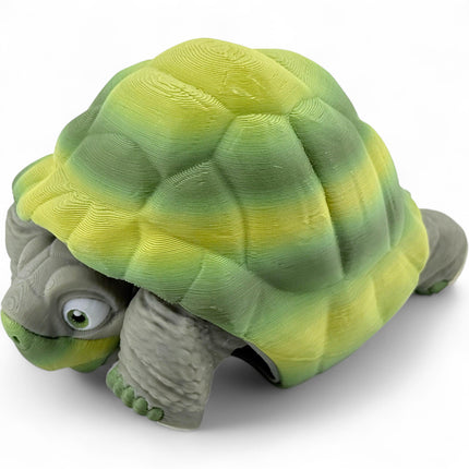 3D Printed Tortoise