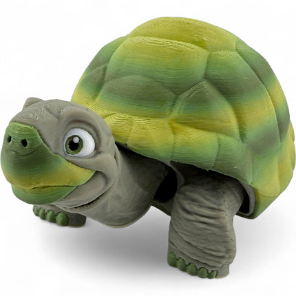 3D Printed Tortoise