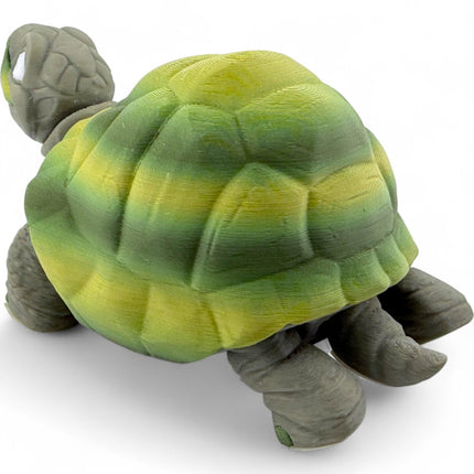 3D Printed Tortoise
