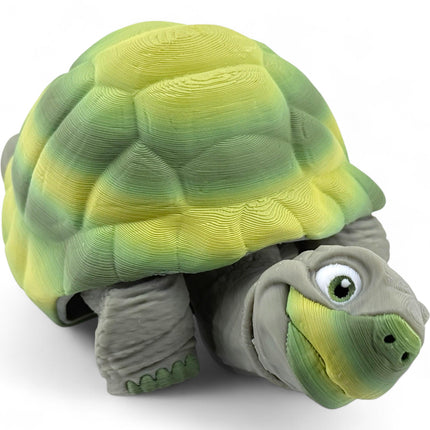 3D Printed Tortoise
