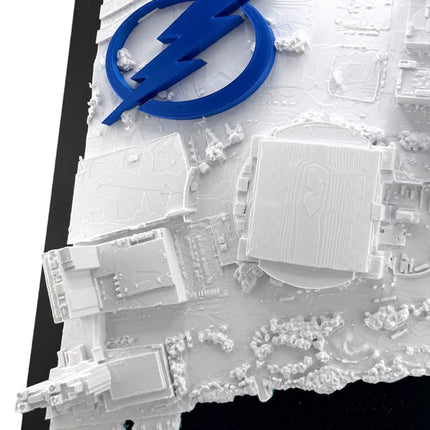 Tampa Bay Lightning Benchmark International Arena Topographical Map Art Framed Wall Decor with Logo