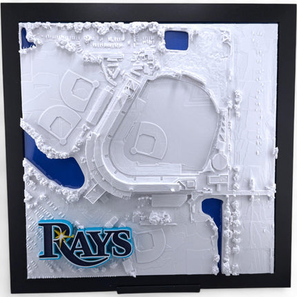 Tampa Bay Rays - Framed Topographical Map Art of Steinbrenner Field with logo